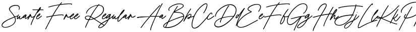 Suarte Free Regular font