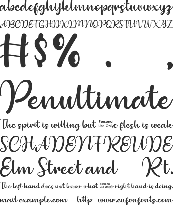 Bollinsh Hunt Personal Use Only font preview