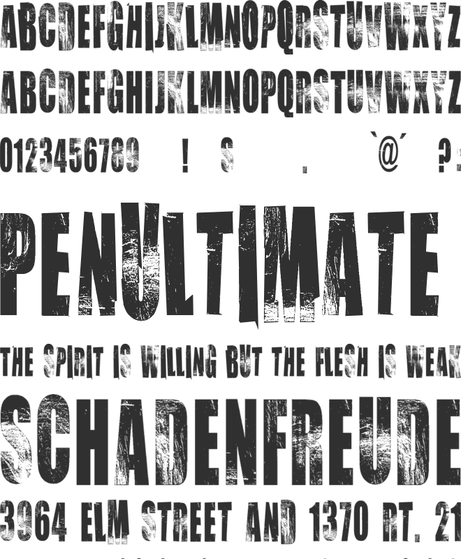 VTKS CHOICE font preview