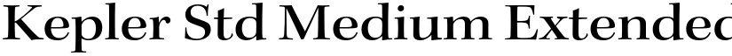 Kepler Std Medium Extended Subhead font