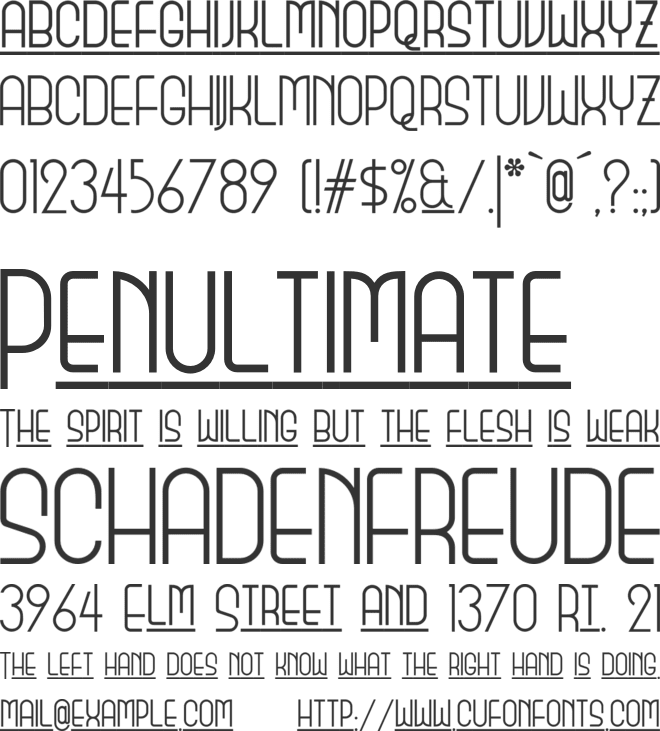 Monicas Salon NF font preview