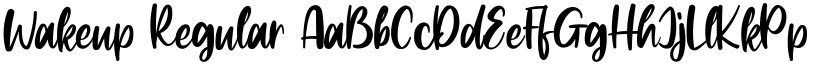 Wakeup font download