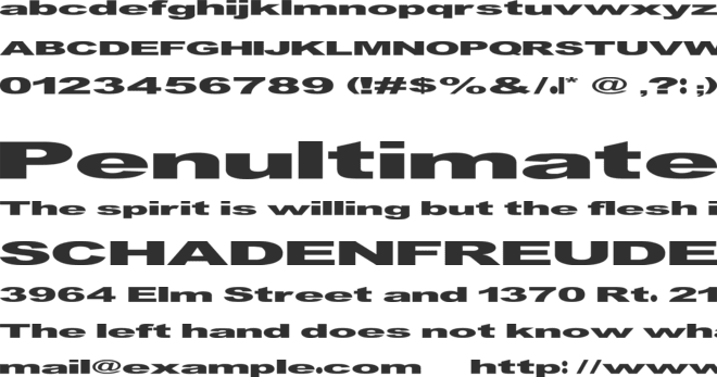 GF Vienna heavy font preview