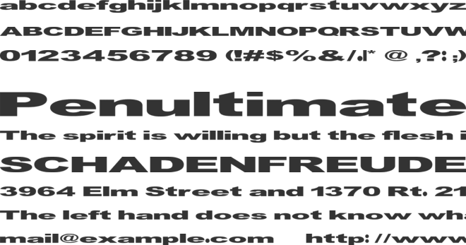 GF Vienna heavy font preview