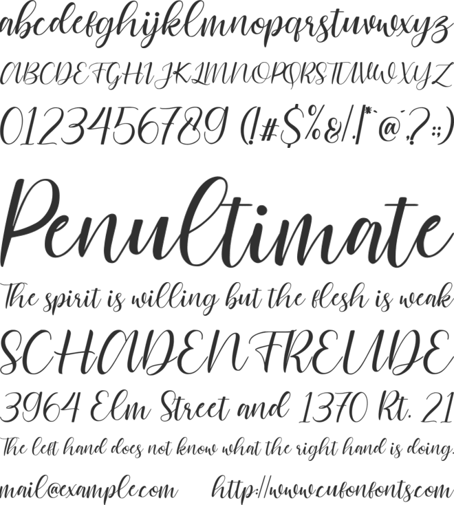Cattalina font preview