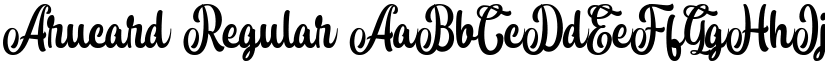 Arucard font download
