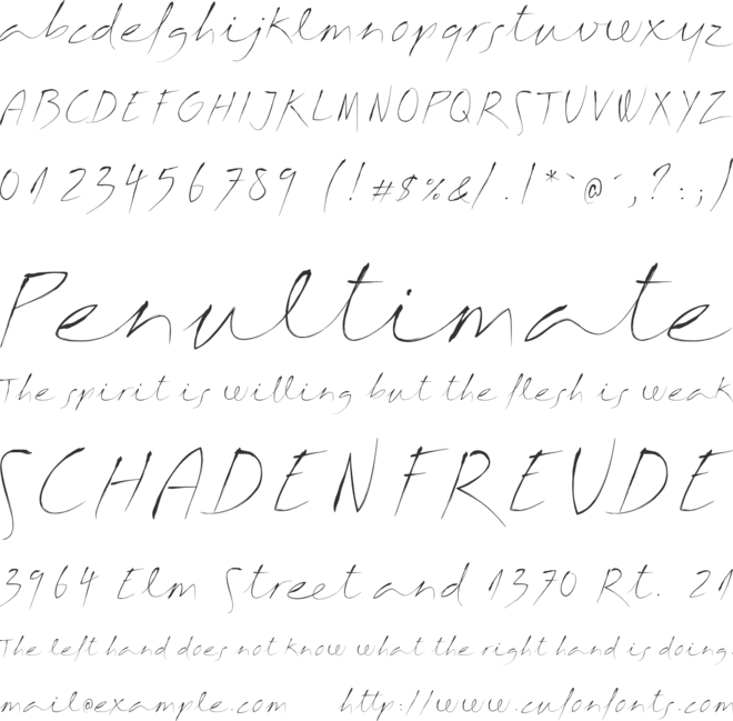 Margalida Font font preview
