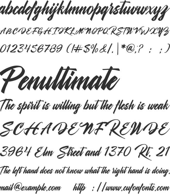 Shanella font preview