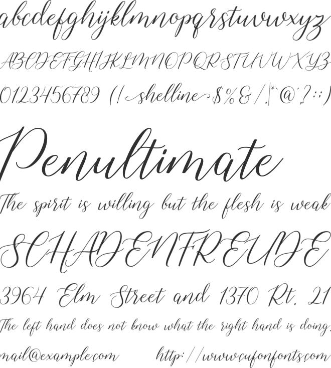 shelline font preview