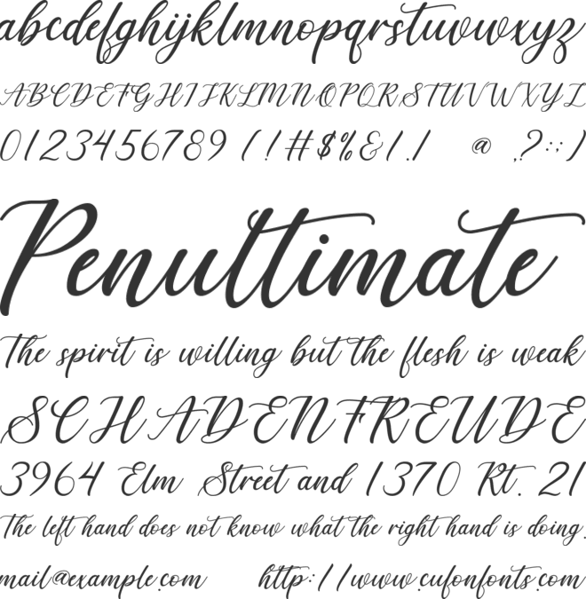 Derick Chetty font preview