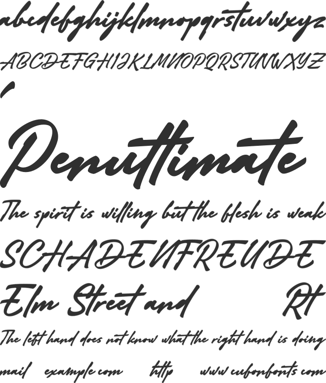 Adelina Camarie font preview