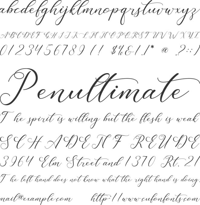 Leslie Dawn font preview