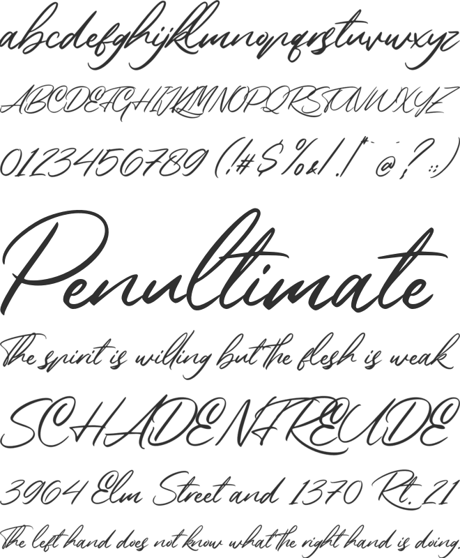 Rembank font preview