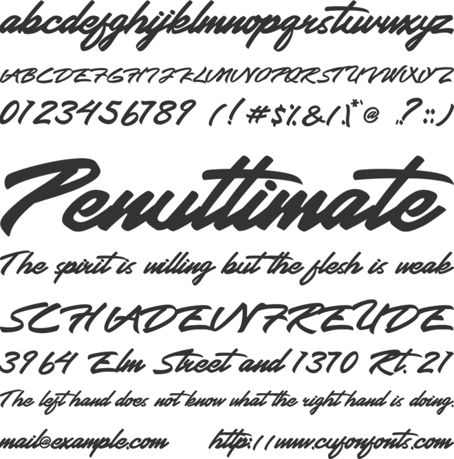 Wrongler font preview