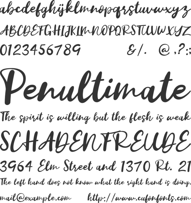 Vanilla Twilight Script font preview