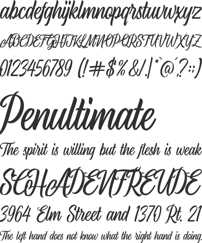 Airplane Script font preview