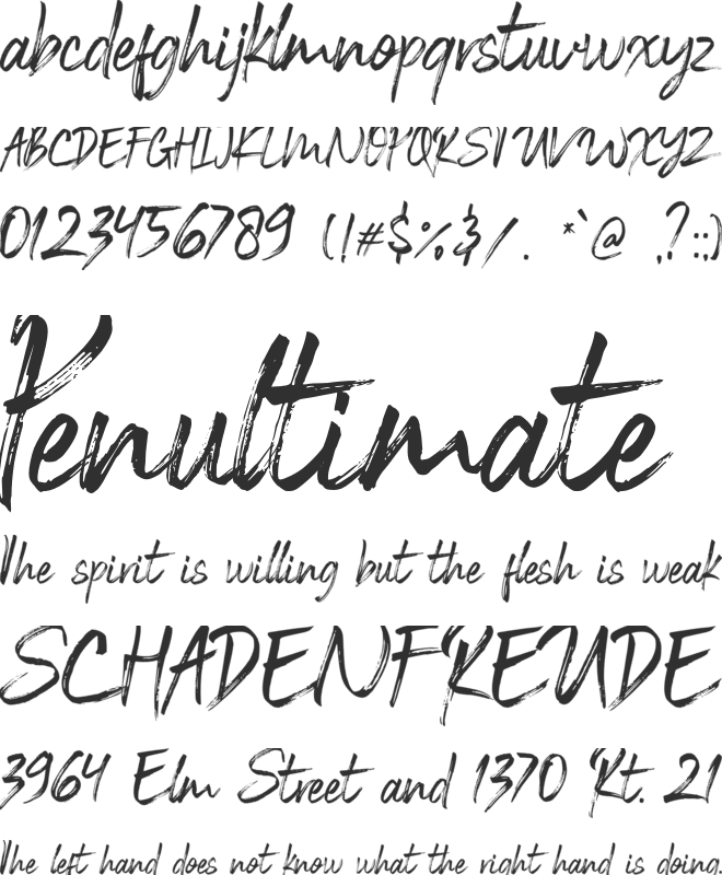 Black Vosten Personal Use font preview