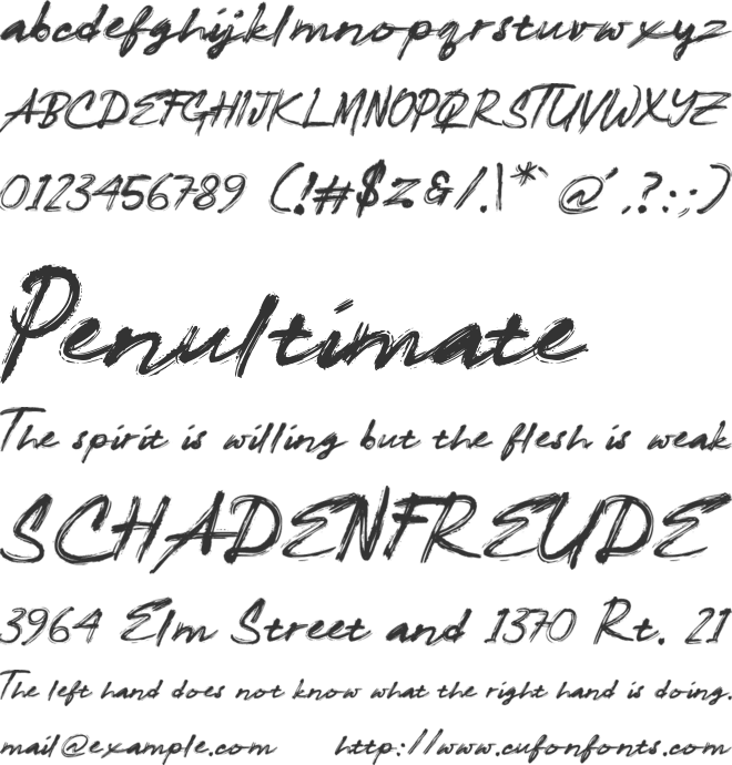 Shallows font preview