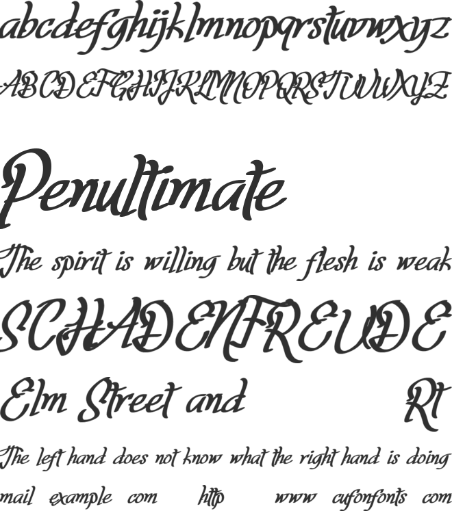 Fortuin Handlettering font preview