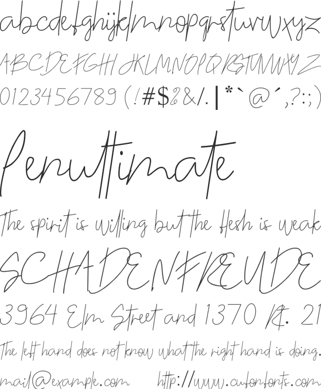 The Night Began font preview