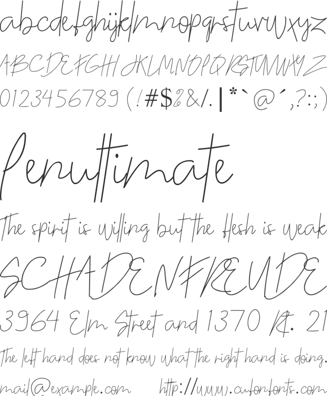 The Night Began font preview