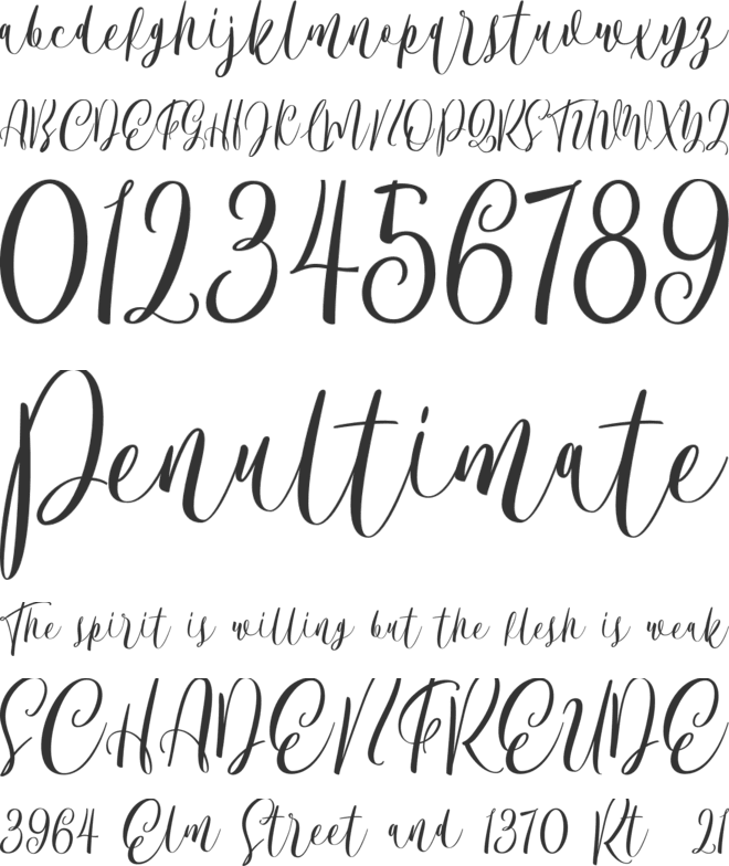 Bordellia font preview