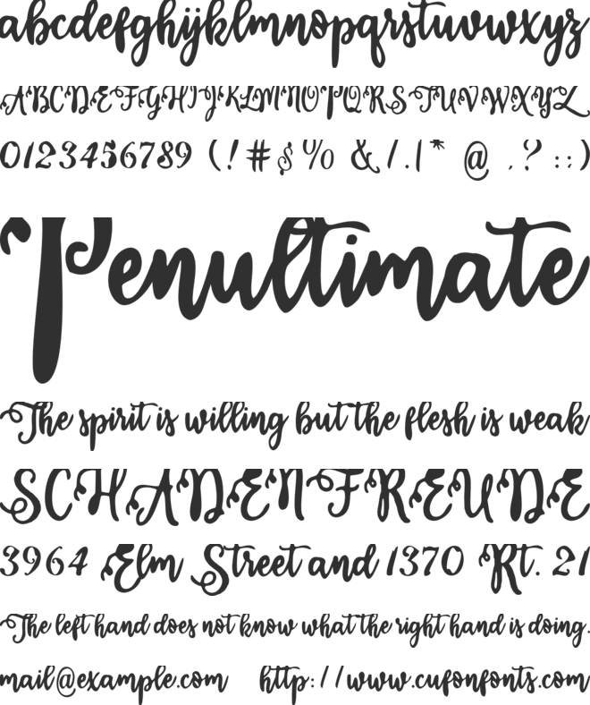 Calligraphy Stye font preview