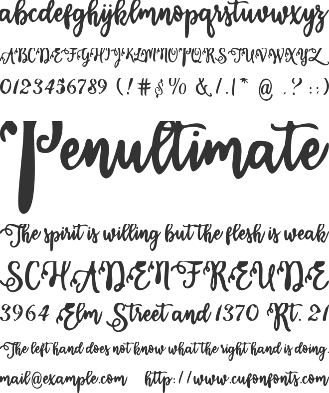 Calligraphy Stye font preview