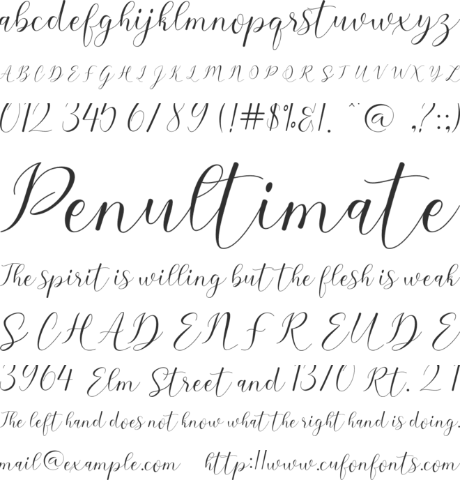 sehaty font preview