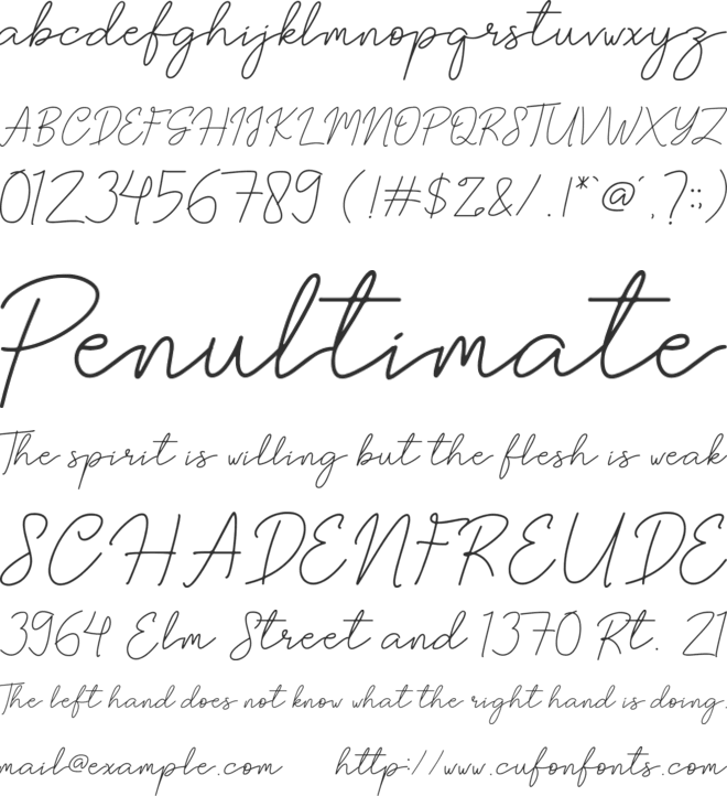 Brittney Signature font preview