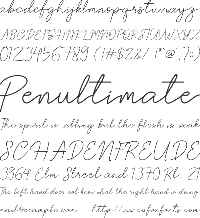 Brittney Signature font preview