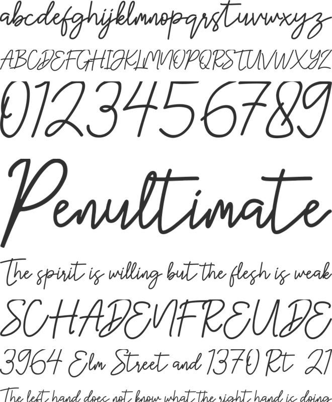 Hanster font preview