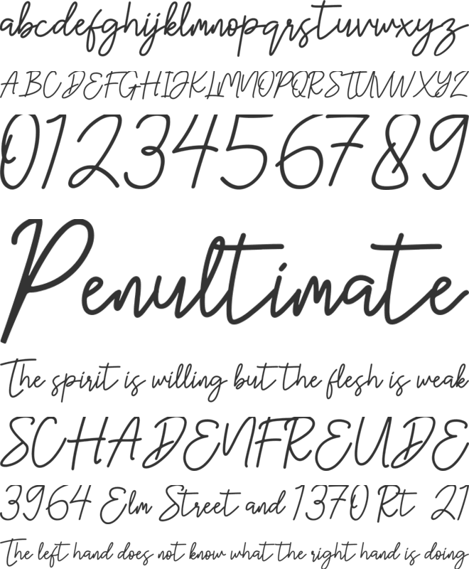 Hanster font preview