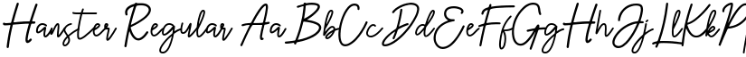 Hanster Regular font