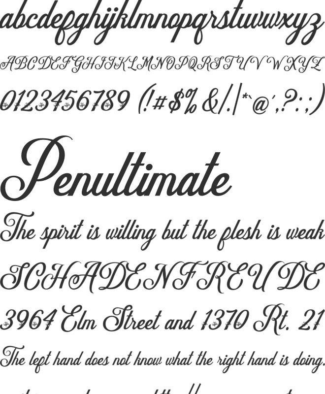 Delighter Script font preview