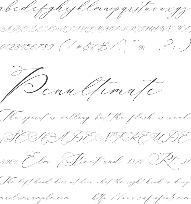 Planolla font preview