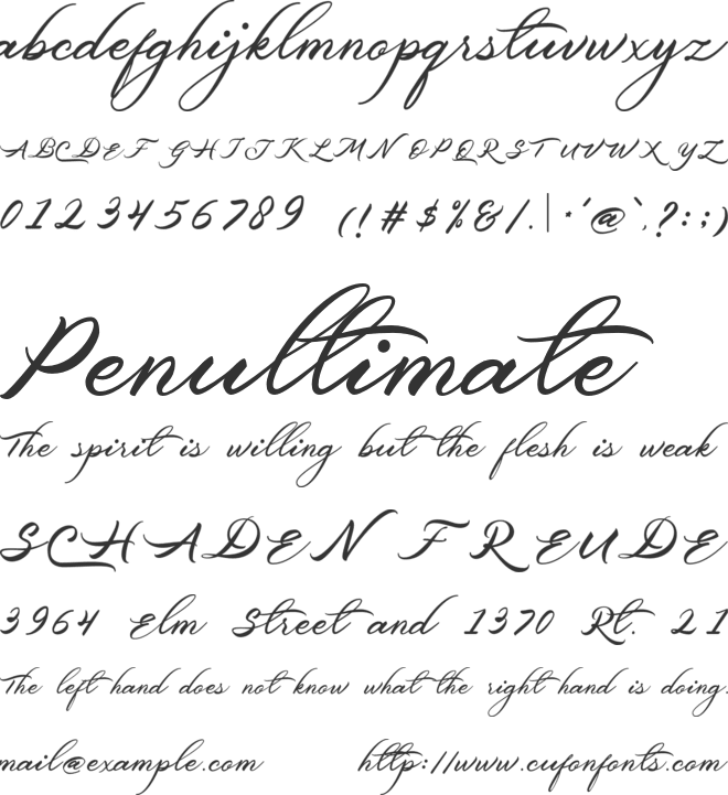 Belgiansignature font preview