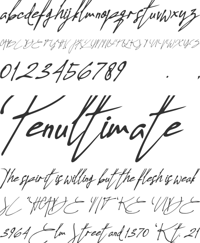 Allison Tessa font preview