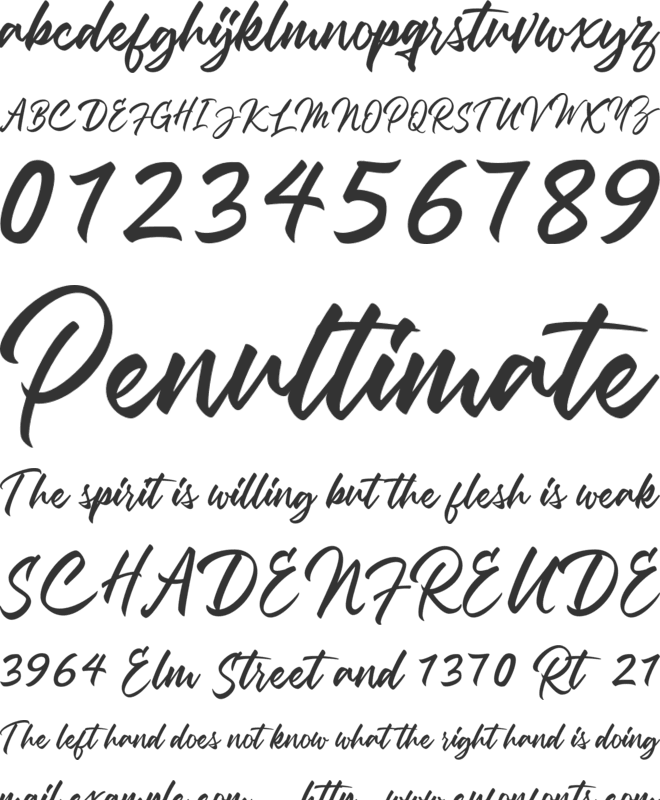 Debtos Script Free Version font preview