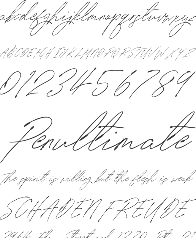 SignatureVP font preview