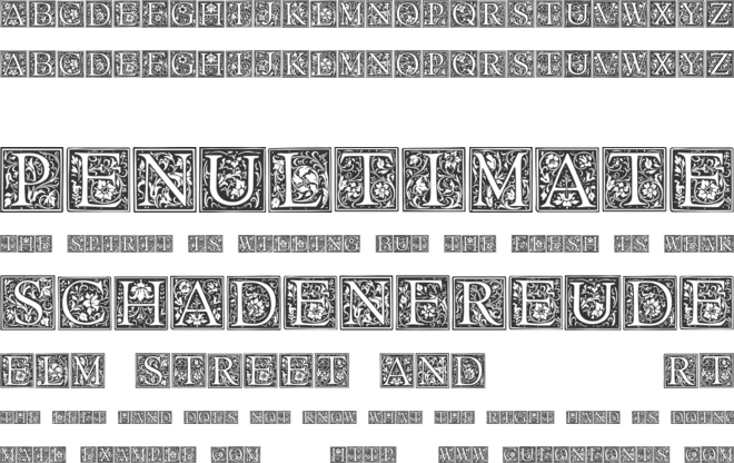 Floral Capitals font preview