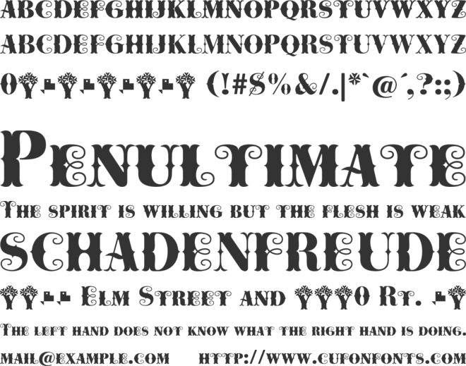 Cowboya Bi font preview