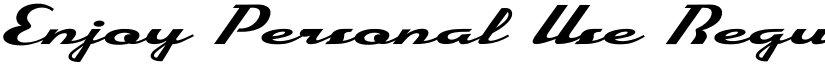 Enjoy Personal Use Regular font