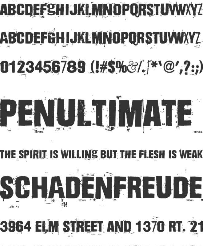 Dharma Bum font preview