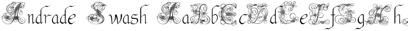 Andrade Swash font