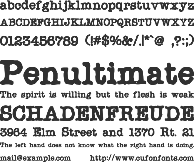 Chonker font preview
