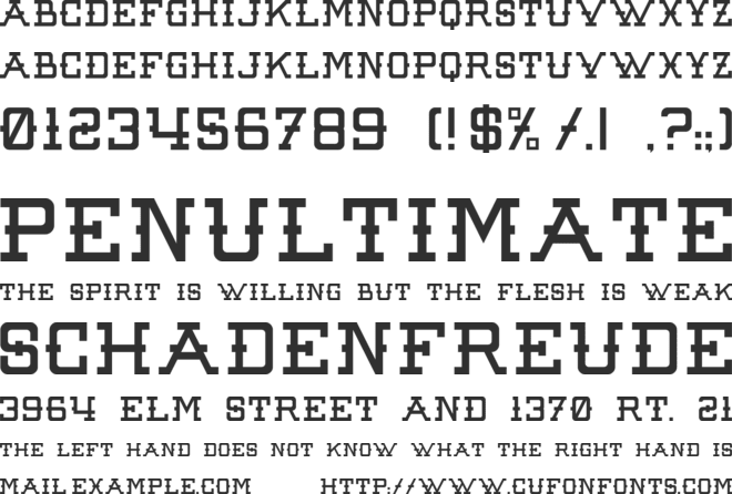 Raw Denim Audacity font preview