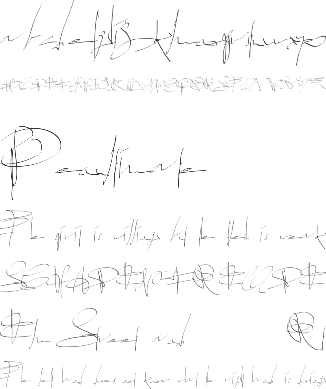 PWsignaturefont font preview