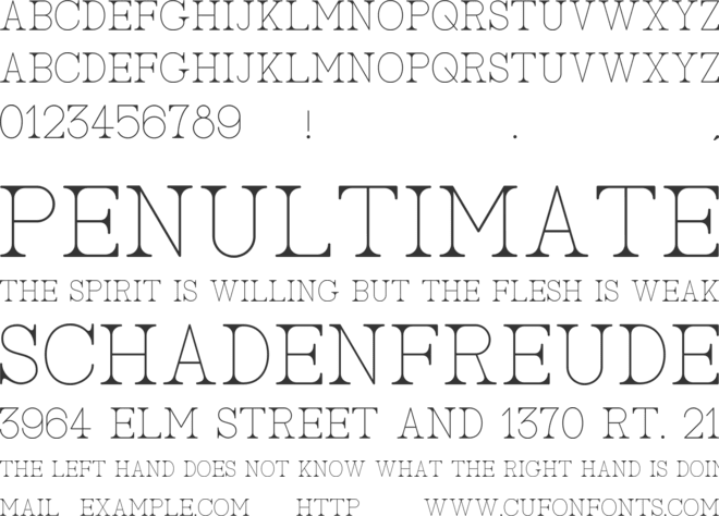 AC Big Serif font preview