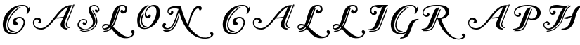 Caslon Calligraphic Initials font